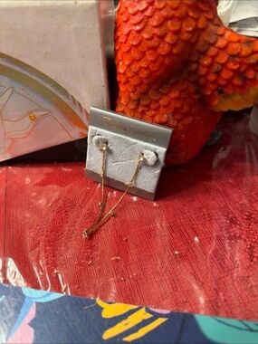 earrings earrings appear to be long chain dangle earrings